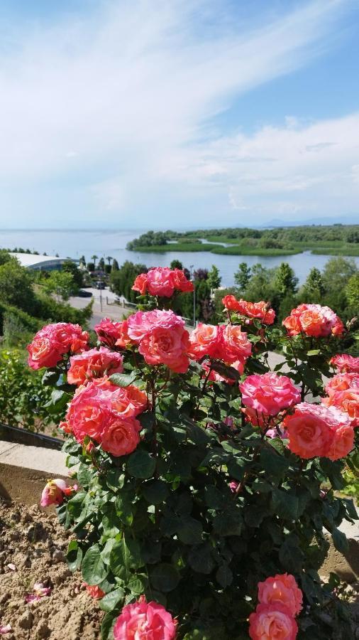 Welcome Guest House Шкодер Екстер'єр фото