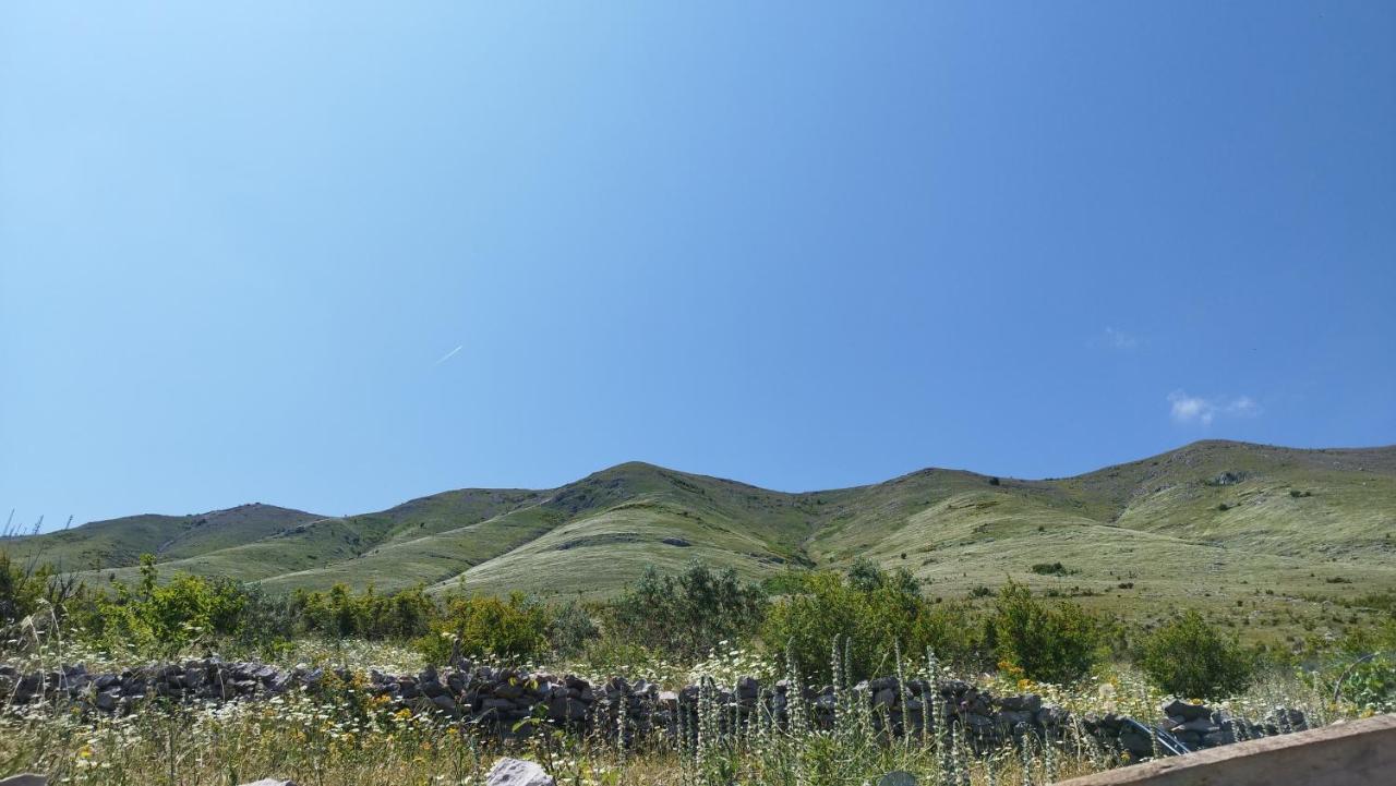 Welcome Guest House Шкодер Екстер'єр фото